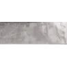 Zianides gris